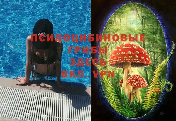 мдма Бородино